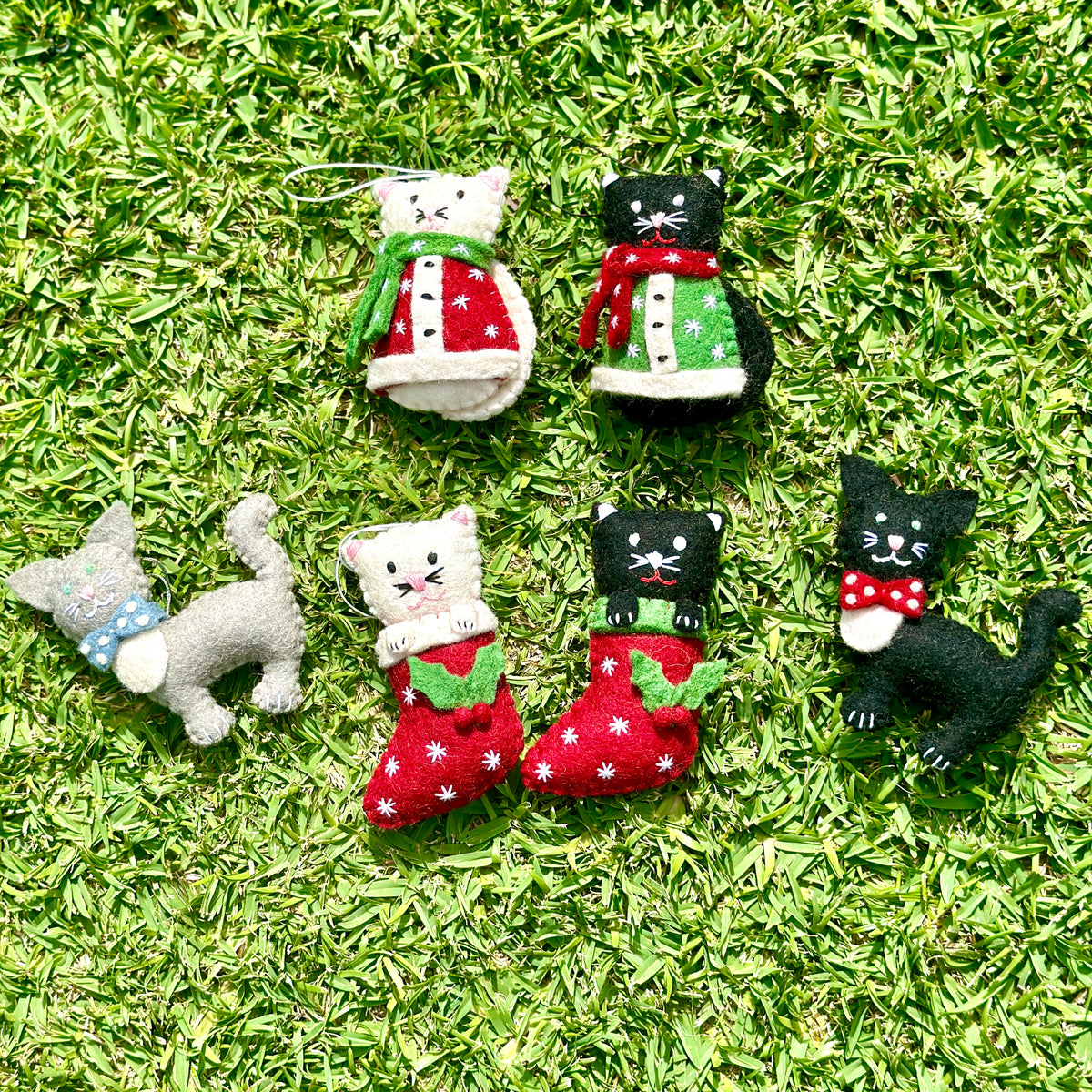 Christmas cats in coats - Pashom