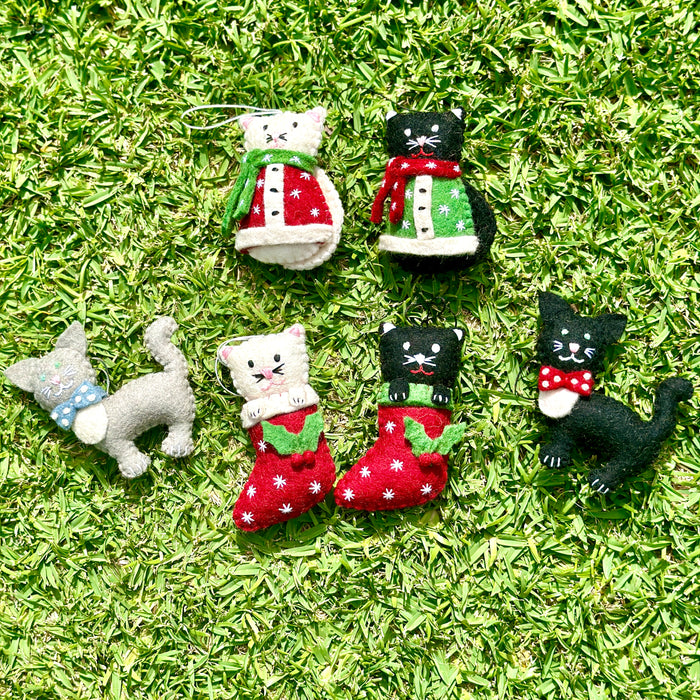 Christmas cats in coats - Pashom