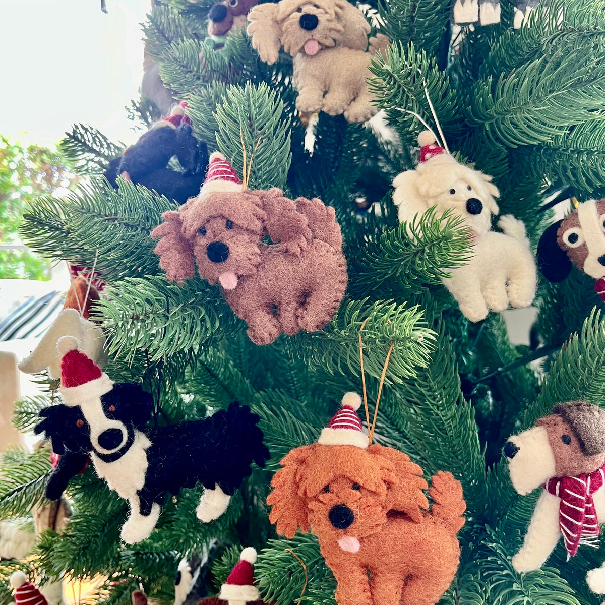 Pashom Christmas pug decoration - Pashom
