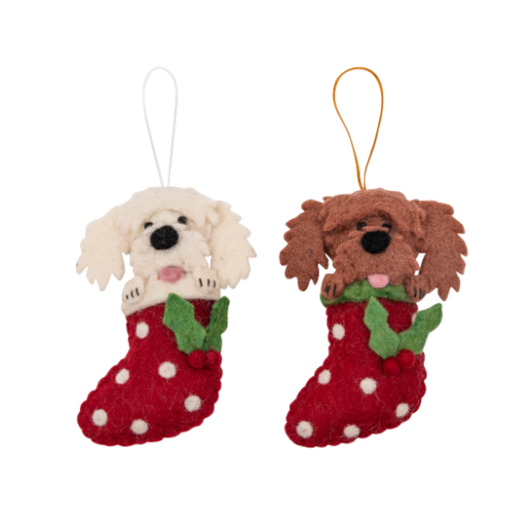 Christmas Cavoodles / Cockapoos in stockings