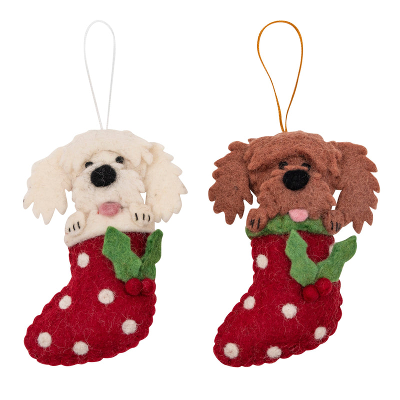 Christmas Cavoodles / Cockapoos in stockings