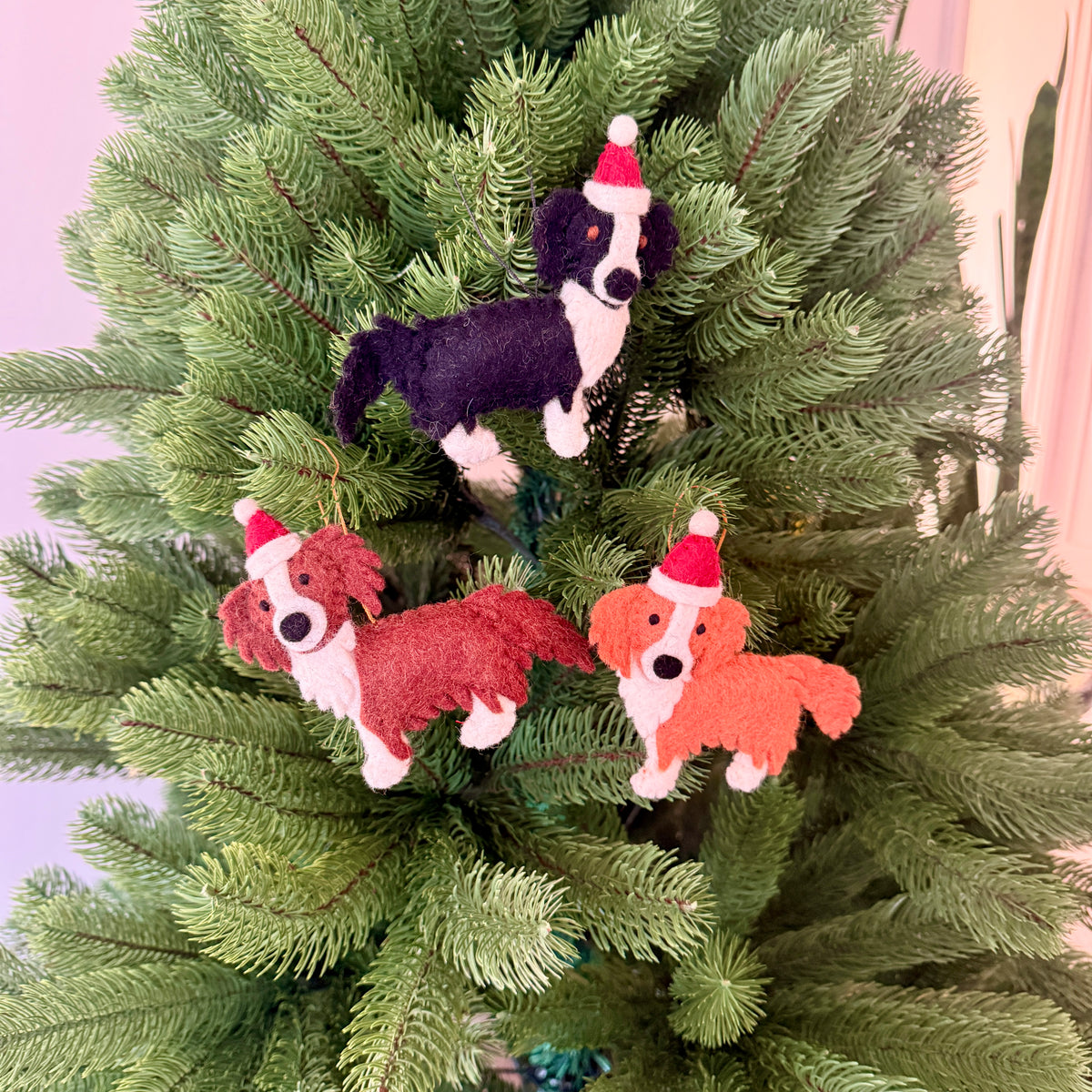 Border Collie Christmas decorations - Pashom