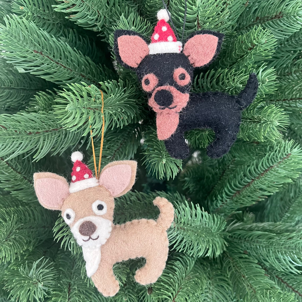 Chihuahua Christmas decoration featuring two felt ornaments in festive Santa hats hanging on a Christmas tree.