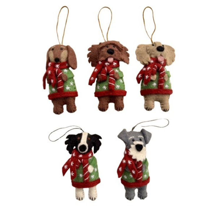 Christmas dogs in coats and candy cane decorations featuring five breeds in festive coats and scarves.