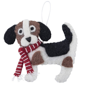 Pashom beagle with scarf