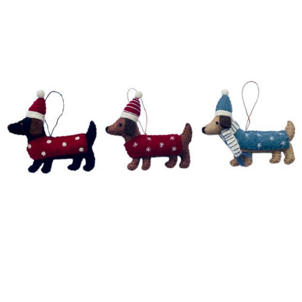 Christmas dachshund with festive blankets & hats - Pashom